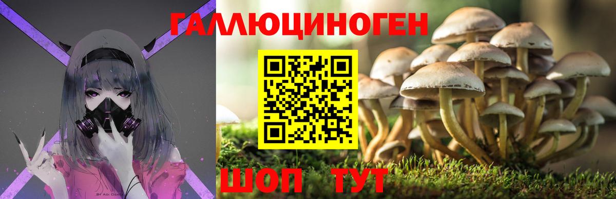 Кушва  Псилоцибиновые грибы GOLDEN TEACHER  Псилоцибиновые грибы мухоморы  Вход с VPN 